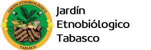 Jardín Etnobiológico Tabasco